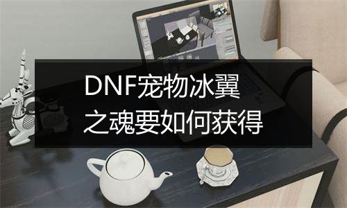 DNF宠物冰翼之魂要如何获得