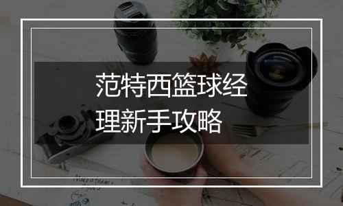 范特西篮球经理新手攻略