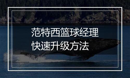 范特西篮球经理快速升级方法