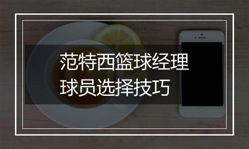 范特西篮球经理球员选择技巧