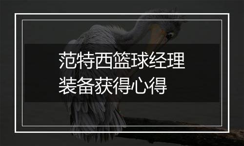 范特西篮球经理装备获得心得