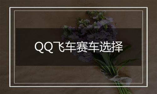 QQ飞车赛车选择