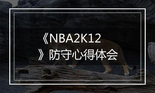 《NBA2K12》防守心得体会