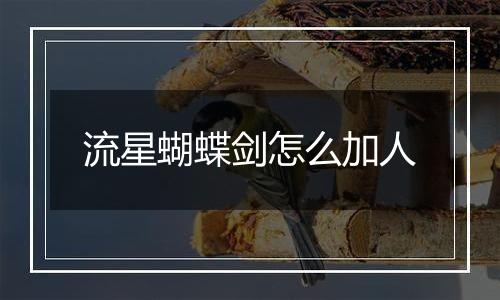 流星蝴蝶剑怎么加人