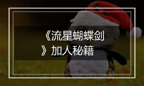 《流星蝴蝶剑》加人秘籍