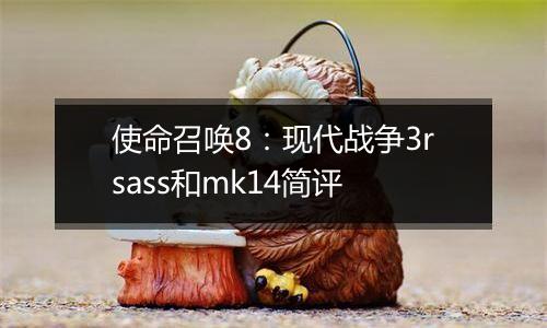 使命召唤8：现代战争3rsass和mk14简评