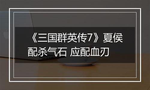 《三国群英传7》夏侯配杀气石 应配血刃