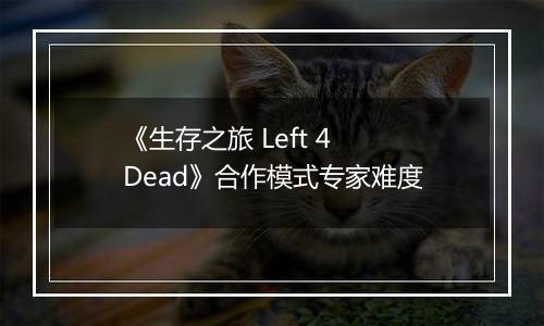《生存之旅 Left 4 Dead》合作模式专家难度