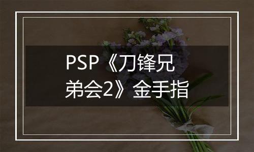 PSP《刀锋兄弟会2》金手指