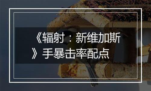 《辐射：新维加斯》手暴击率配点
