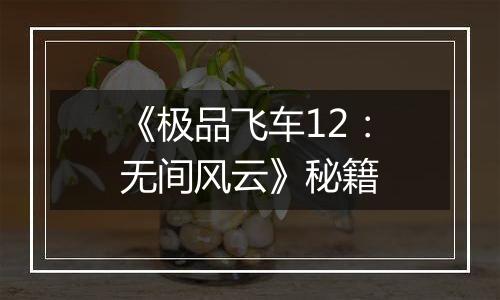 《极品飞车12：无间风云》秘籍