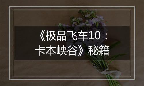 《极品飞车10：卡本峡谷》秘籍