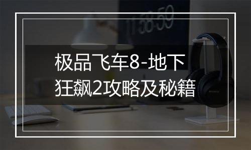 极品飞车8-地下狂飙2攻略及秘籍