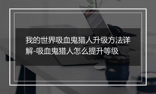 我的世界吸血鬼猎人升级方法详解-吸血鬼猎人怎么提升等级