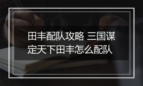 田丰配队攻略 三国谋定天下田丰怎么配队