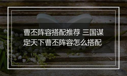 曹丕阵容搭配推荐 三国谋定天下曹丕阵容怎么搭配