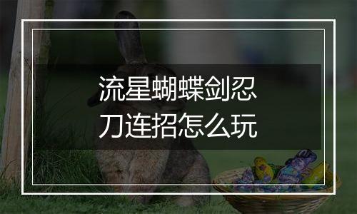 流星蝴蝶剑忍刀连招怎么玩