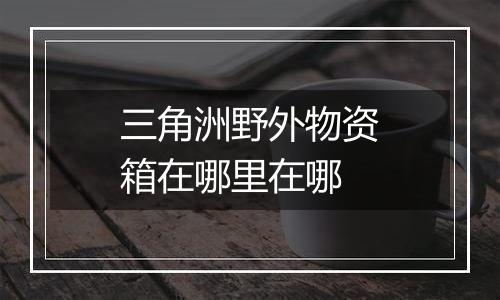 三角洲野外物资箱在哪里在哪