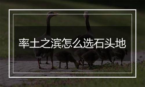 率土之滨怎么选石头地
