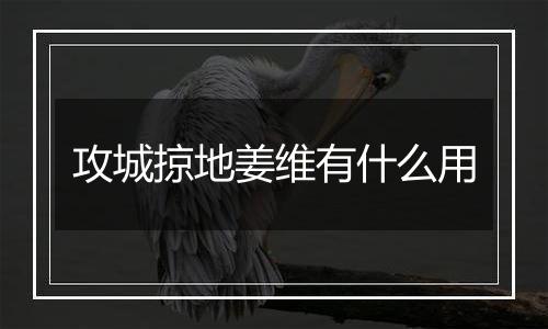 攻城掠地姜维有什么用