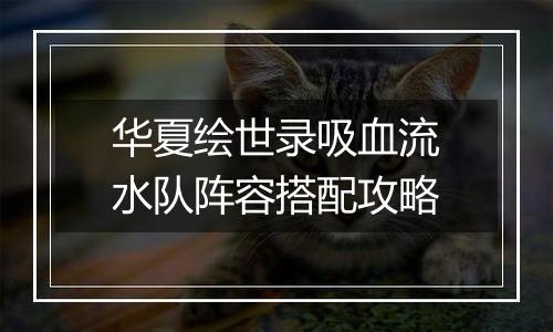 华夏绘世录吸血流水队阵容搭配攻略