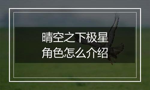 晴空之下极星角色怎么介绍