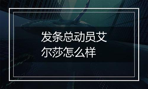 发条总动员艾尔莎怎么样