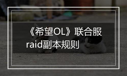 《希望OL》联合服raid副本规则