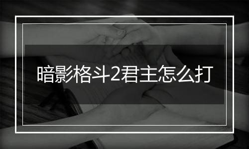 暗影格斗2君主怎么打