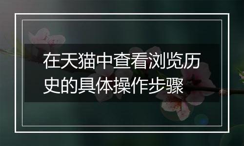 在天猫中查看浏览历史的具体操作步骤