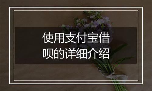 使用支付宝借呗的详细介绍