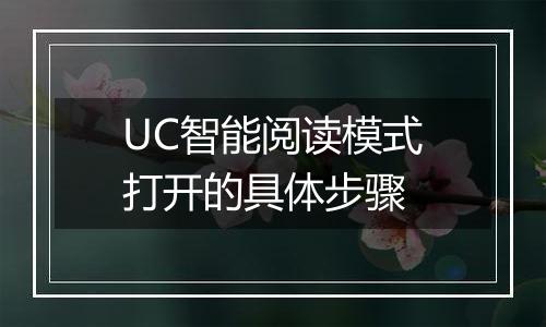 UC智能阅读模式打开的具体步骤
