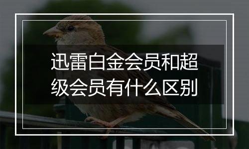 迅雷白金会员和超级会员有什么区别
