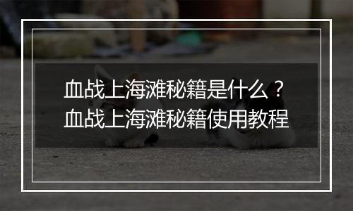 血战上海滩秘籍是什么？血战上海滩秘籍使用教程