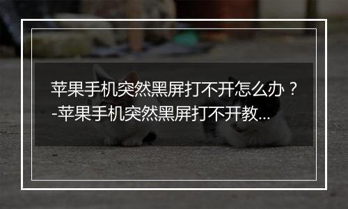 苹果手机突然黑屏打不开怎么办？-苹果手机突然黑屏打不开教程