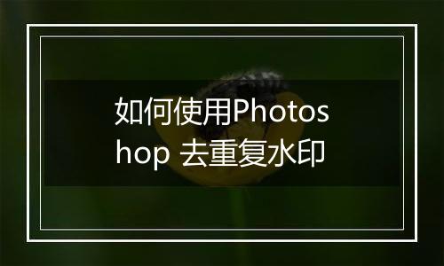 如何使用Photoshop 去重复水印