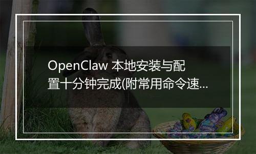 OpenClaw 本地安装与配置十分钟完成(附常用命令速查)