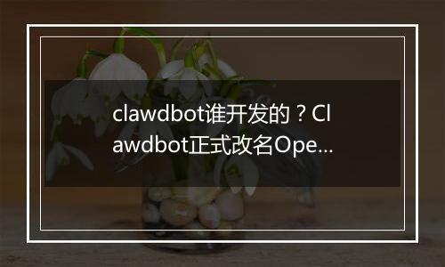 clawdbot谁开发的？Clawdbot正式改名OpenClaw
