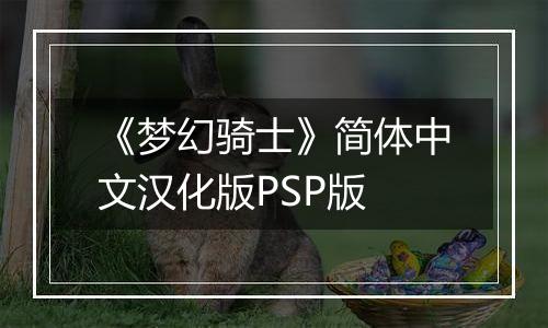 《梦幻骑士》简体中文汉化版PSP版