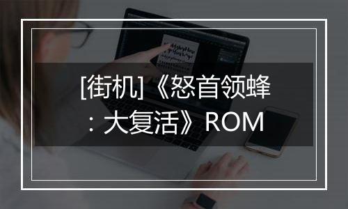 [街机]《怒首领蜂：大复活》ROM