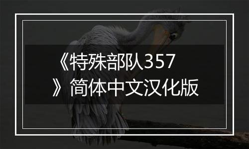 《特殊部队357》简体中文汉化版