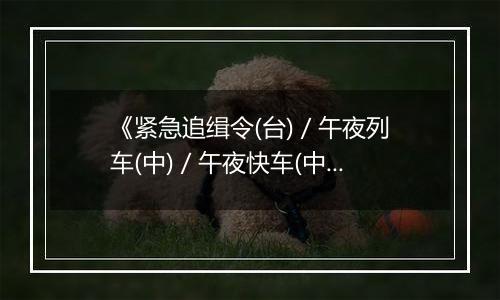 《紧急追缉令(台) / 午夜列车(中) / 午夜快车(中)》PS ISO