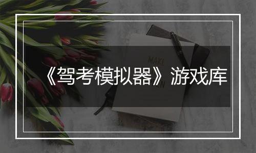《驾考模拟器》游戏库