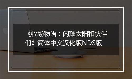 《牧场物语：闪耀太阳和伙伴们》简体中文汉化版NDS版