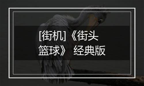 [街机]《街头篮球》 经典版