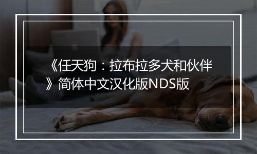 《任天狗：拉布拉多犬和伙伴》简体中文汉化版NDS版