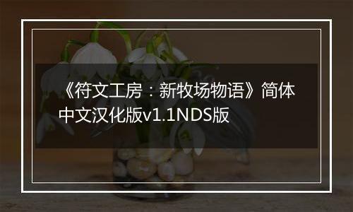 《符文工房：新牧场物语》简体中文汉化版v1.1NDS版