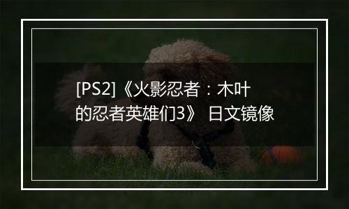 [PS2]《火影忍者：木叶的忍者英雄们3》 日文镜像