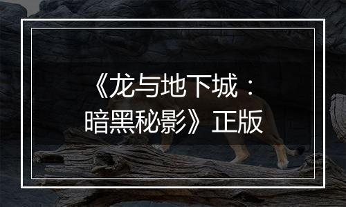 《龙与地下城：暗黑秘影》正版