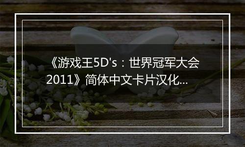 《游戏王5D's：世界冠军大会2011》简体中文卡片汉化版NDS版